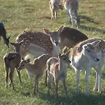 Valley View Vlakbij Valkenburg בית נופש *