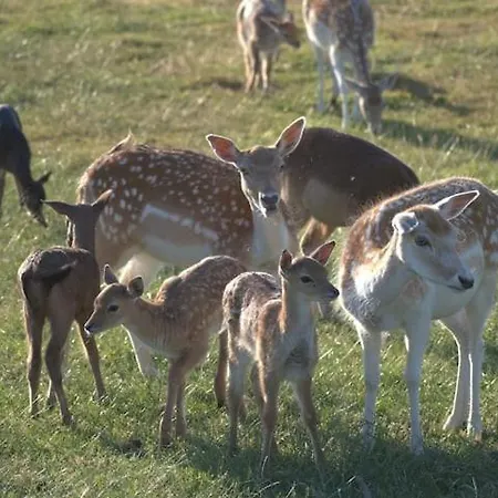 Valley View Vlakbij Valkenburg Nyaraló *