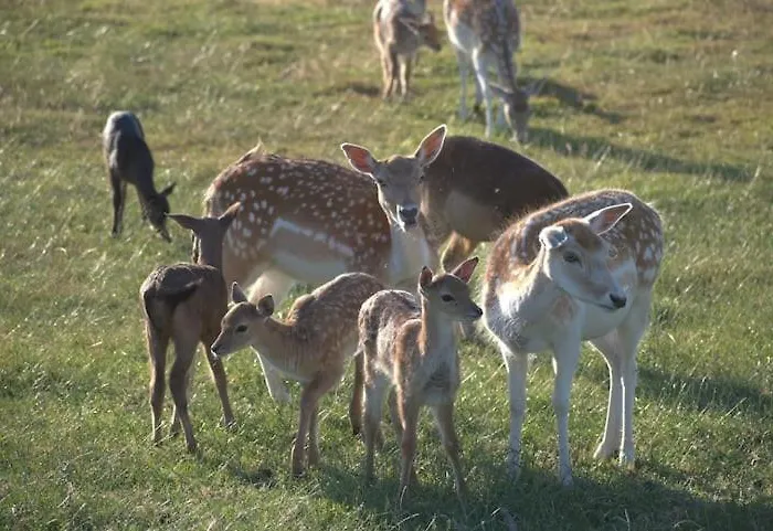 Valley View Vlakbij Valkenburg Prázdninový dům *
